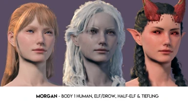 Winter - Body 1 Human, Elf/Drow, Half-Elf, Tiefling