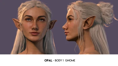 Opal - Body 1 Gnome
