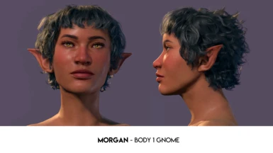 Morgan - Body 1 Gnome