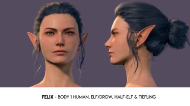 NEW! Felix - Body 1 Human, Elf/Drow, Half-Elf, Tiefling
