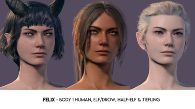 NEW! Felix - Body 1 Human, Elf/Drow, Half-Elf, Tiefling