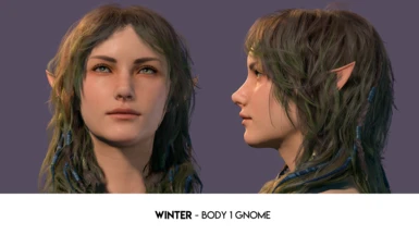 NEW! Winter - Body 1 Gnome