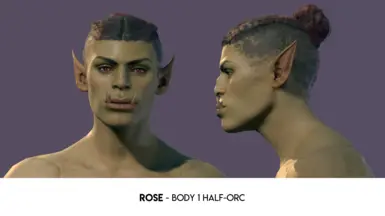 (2.6) Rose - Body 1 Half-Orc