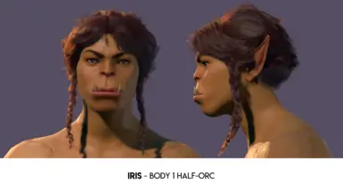 (2.7) Iris - Body 1 Half-Orc
