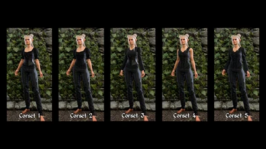 Cherrshen's Corset Outfit at Baldur's Gate 3 Nexus - Mods and