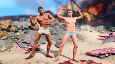 Compatible with patch 8 (photo mode)