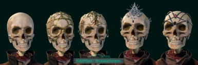 NEW IN V2 Skull Heads