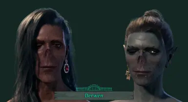 NEW IN V4.5 Derwen Head