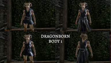 Dragonborn Body 1