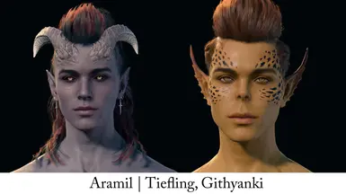 Update 1.5 Aramil body type 2