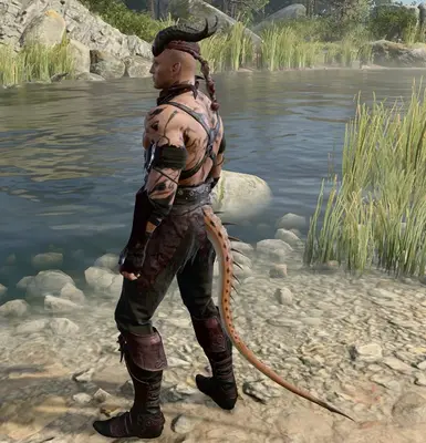 Omen is perfect now, thank you! I'd always removed his tail the unsophisticated way due to the lack of options, but you've done what Larian was too lazy to do!