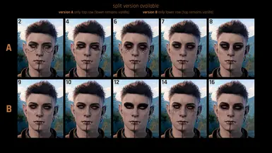 split versions