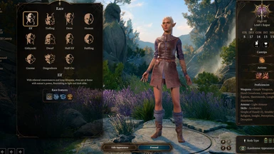 Skirt Mod at Baldur's Gate 3 Nexus - Mods and community