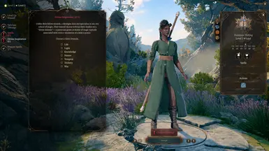 main subclass feature: choose a cleric domain @ lvl 2