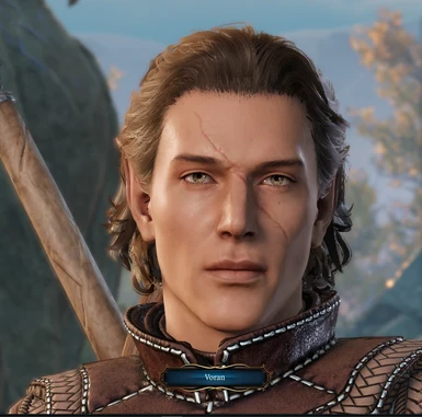 Younger Elf Male Preset 1