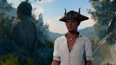 Pirate Hat