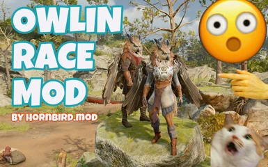 Owlin Race Mod