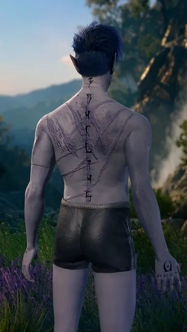 Thrass Preset: Which scars were cause by his  life in the Underdark and which are by the cultists?