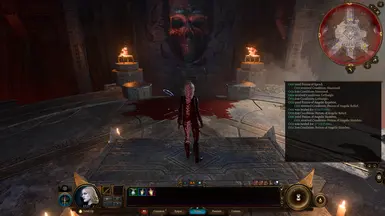 Combat log after consuming Potion of Speed, Potion of Angelic Reprieve, and Potion of Angelic Slumber before installing the mod.