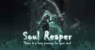 NewClass-Soul Reaper