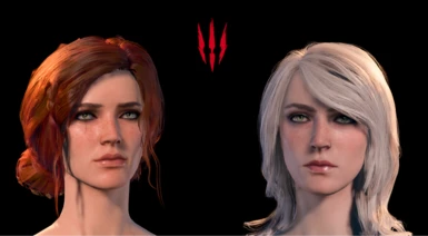 Witcher 3 Inspired Heads