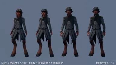 NEW v1.2 - Dark Servant's Attire set