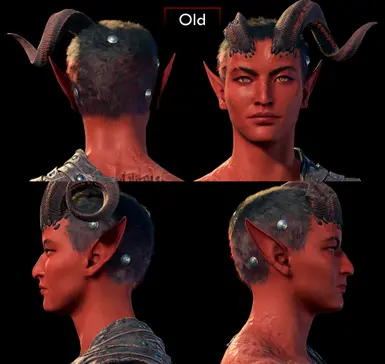 Old Hair (for reference)