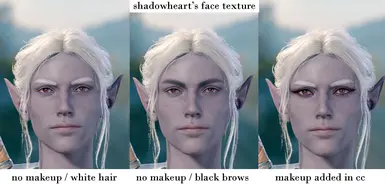 Shadowheart's Face Texture