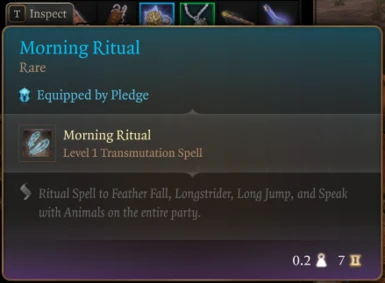 Morning Ritual