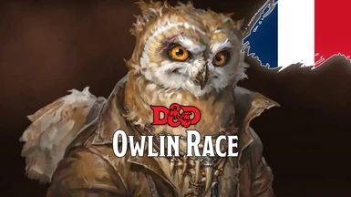 Owlin Race - Version FR