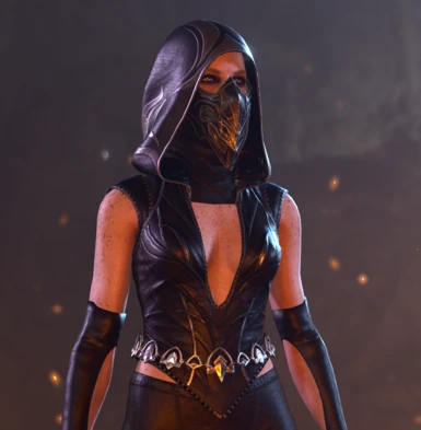 Assassin's Outfit at Baldur's Gate 3 Nexus - Mods and community