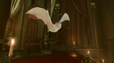 Albino