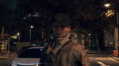 FLASH Mod - Watch Dogs: Legion 