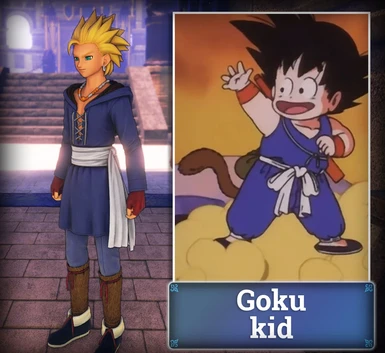 wear: Goku kid