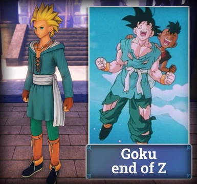 wear: Goku end of Z