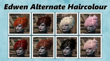 Edwen Alternate Haircolour