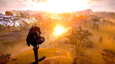 Shader Enabled