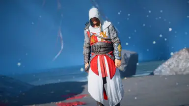 Altair Crusader Texture