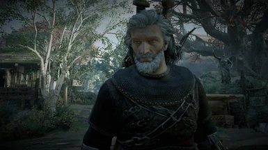 Hell yea,now i can look like Geralt
