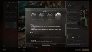 solasta crown of the magister моды