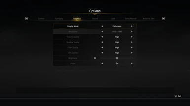 settings video and gamma