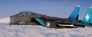 Tiger, Old