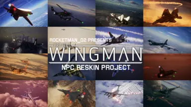 Rocketman's NPC Reskin Project