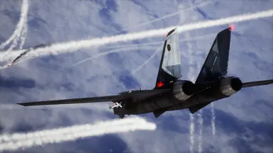 F/D-14 - Master Goose