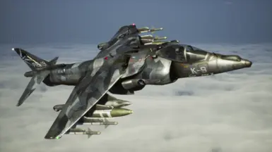 Accipiter Splinter-gray