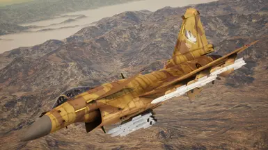 Disruptive Desert
