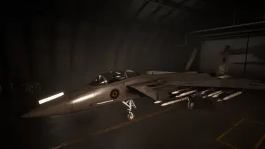 Alternate Hitman Team Aircraft