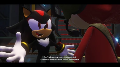 Shadow Rigged to Sonic's Skeleton