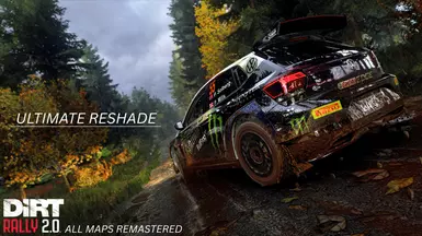 NEO DiRT Rally 2.0 - Realistic ReShade - better graphics
