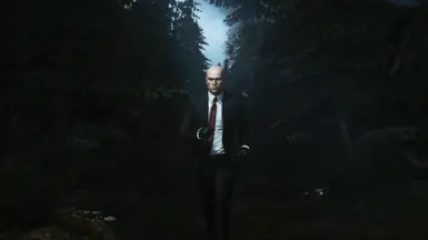 Hitman 2016 Movement